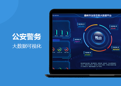 公安警务大数据可视化