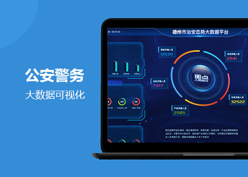公安警务大数据可视化